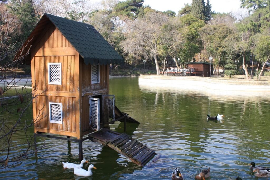 Inkilas antims žiemai