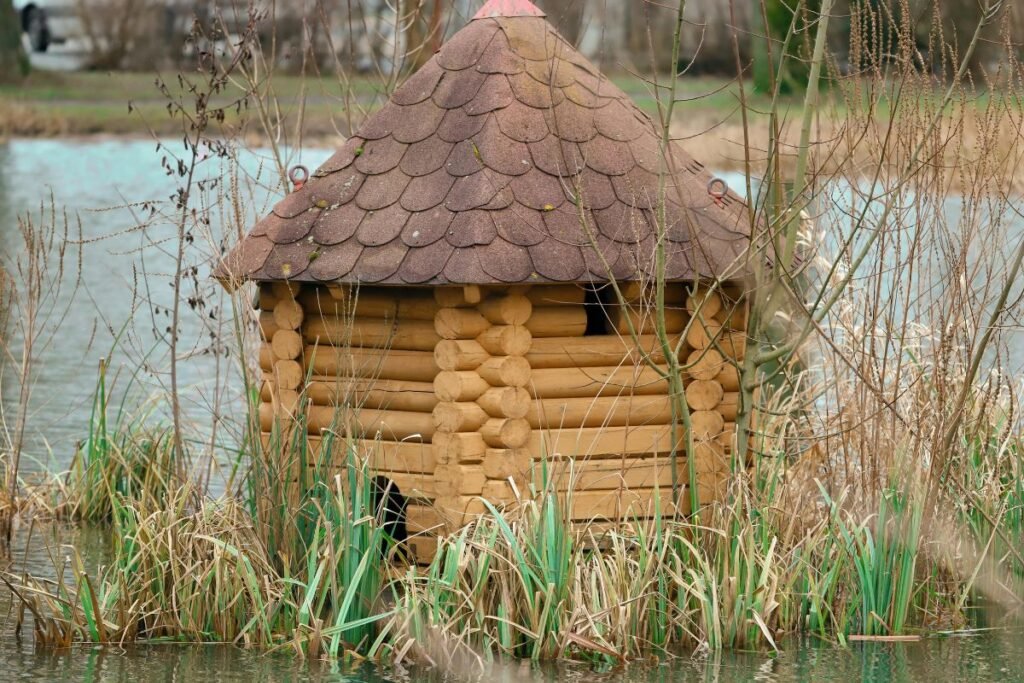 Kur ir kaip įrengti inkilą antims žiemoti