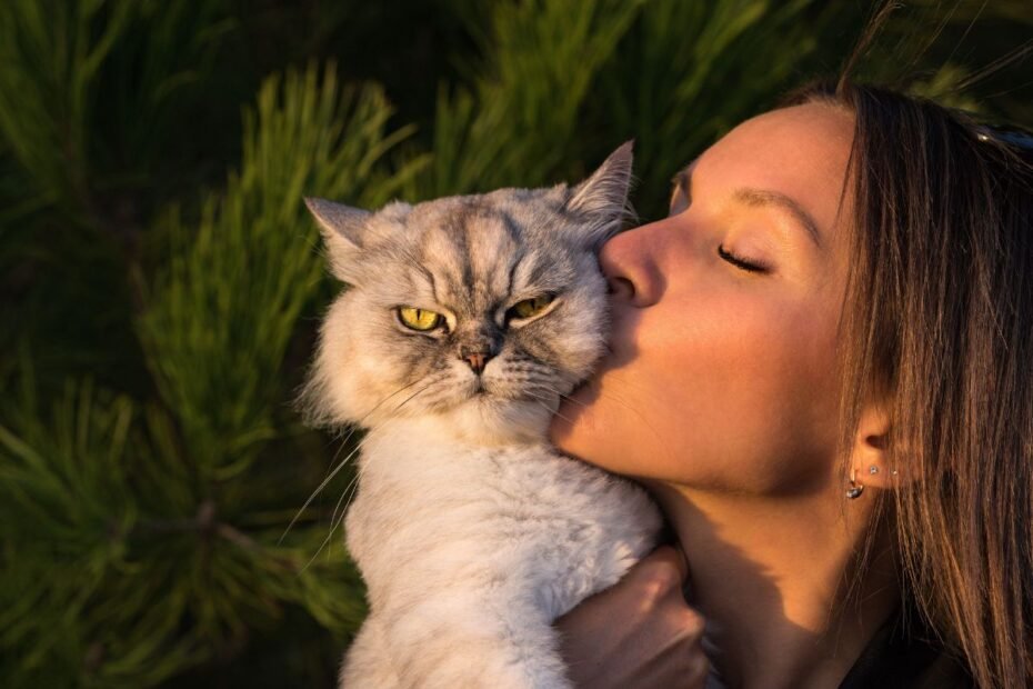 Katės ir pavydas: dėl ko jis kyla ir kaip padėti katei su juo susidoroti?