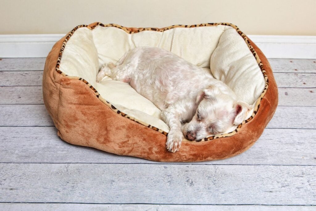 Specifinės vietos/ kilimėlio priklausomybė – „tik čia jaučiuosi saugus“