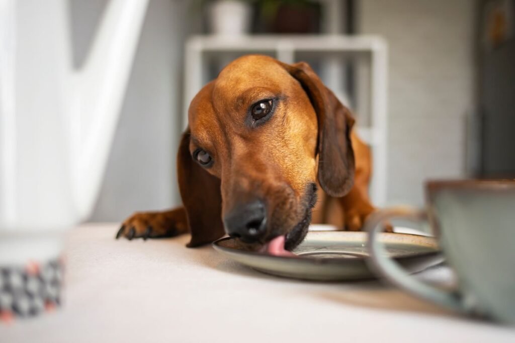 Maisto obsesija – „viską praryčiau“