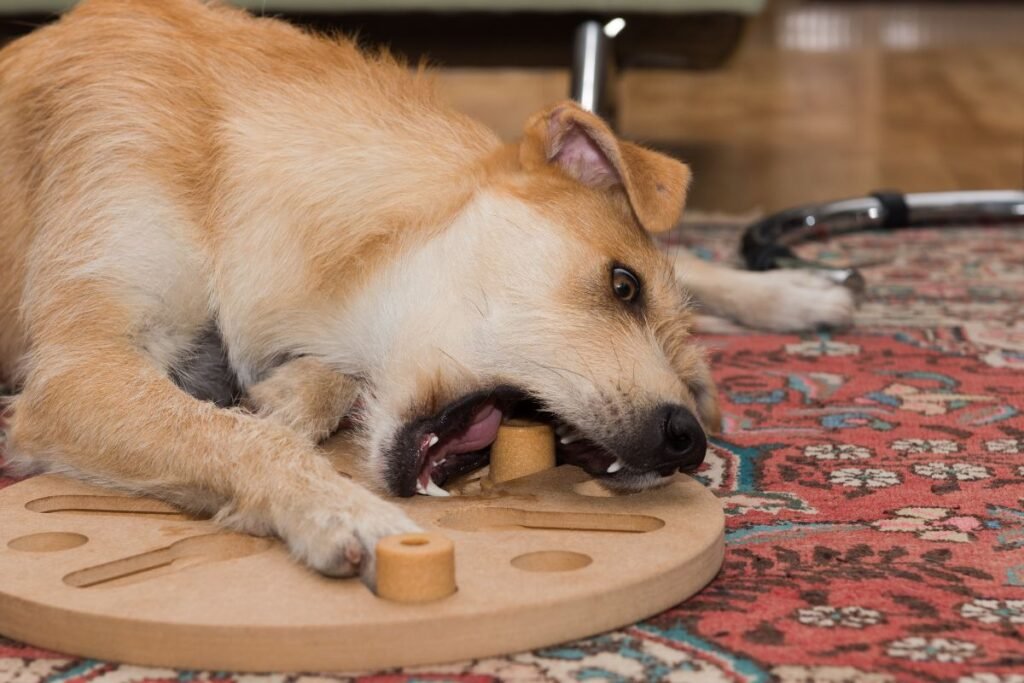 Burnos fiksacija – „kramtau viską“