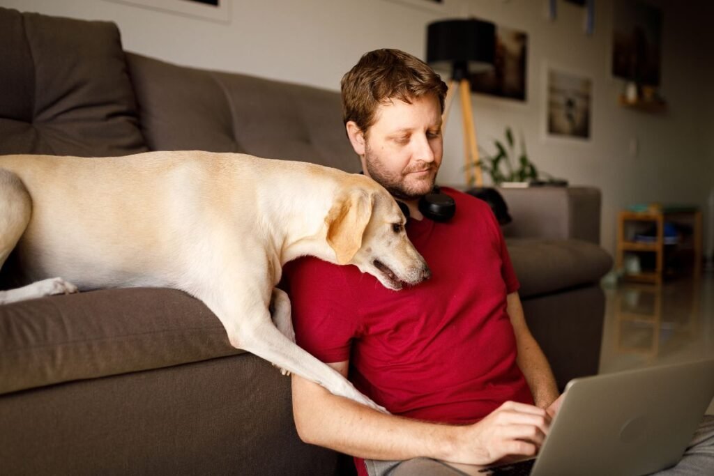 Dėmesio elgetavimas – „žiūrėk į mane!“