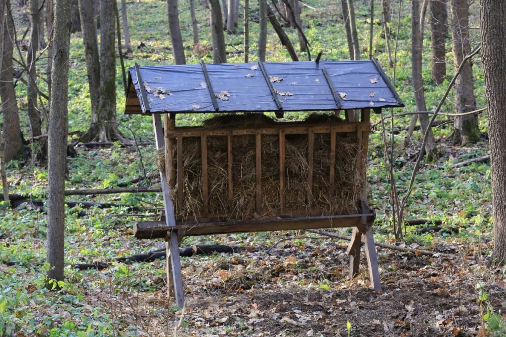 Ėdžios stirnoms ir kitiems gyvūnams žiemą: kokias gaminti, kuo pripildyti ir kaip prižiūrėti?