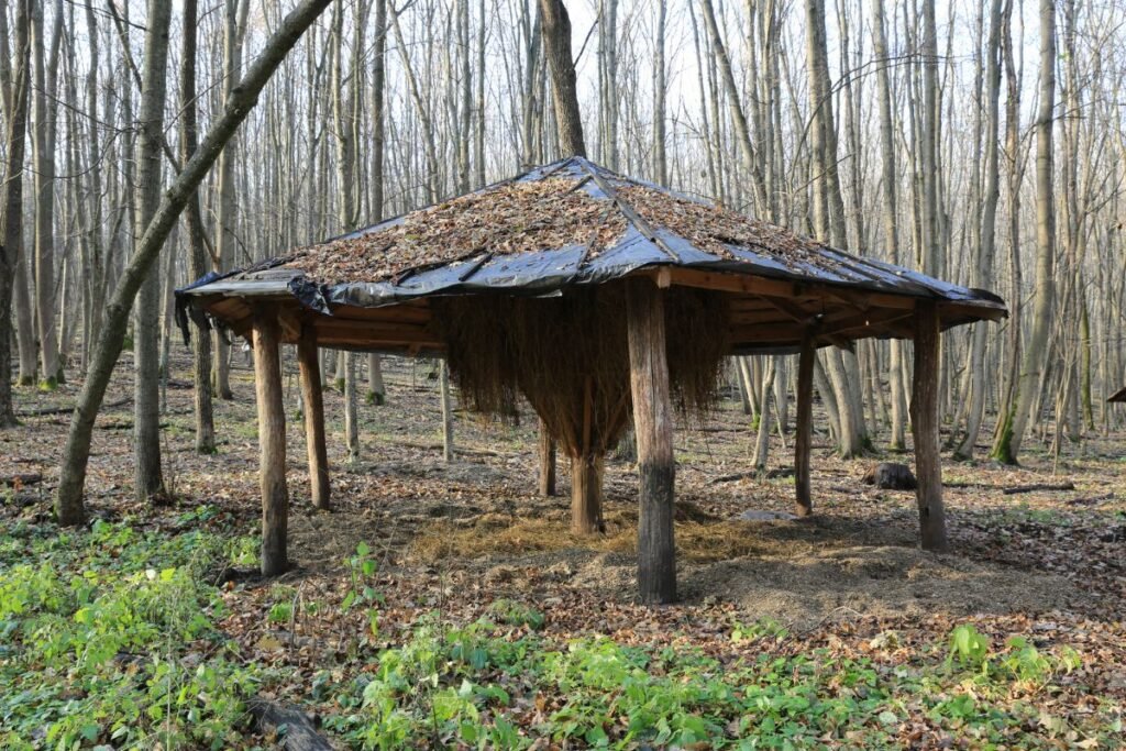 Ėdžios stirnoms ir kitiems gyvūnams žiemą: kokias gaminti, kuo pripildyti ir kaip prižiūrėti?