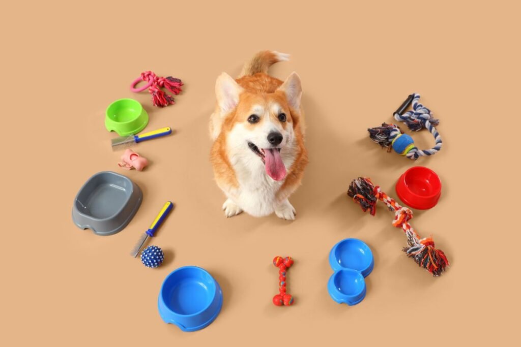 Šunų žaislai: dažniausios klaidos, kurių reikia vengti