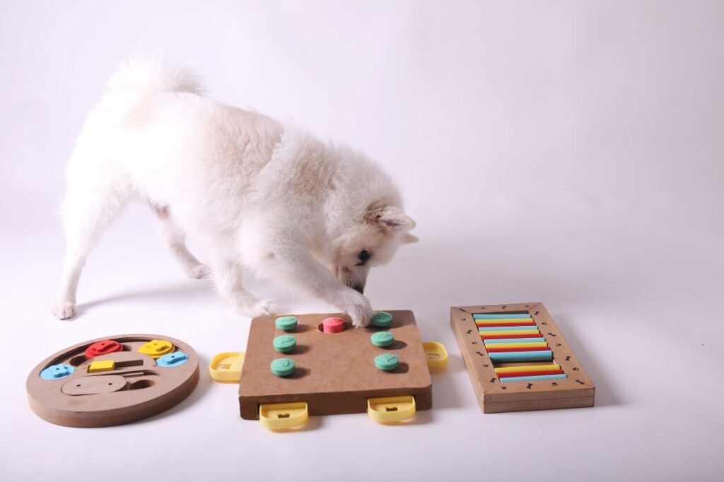 Interaktyvūs šunų žaislai: nuo paprastų iki sudėtingų