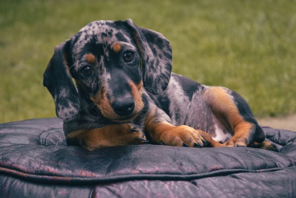 Ar taksas – tinkamas pasirinkimas jūsų gyvenimo būdui?