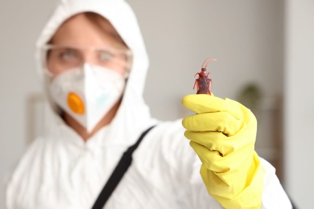 Tarakonas: kodėl vienas labiausiai nekenčiamų vabzdžių yra nepaprastai svarbus planetai?