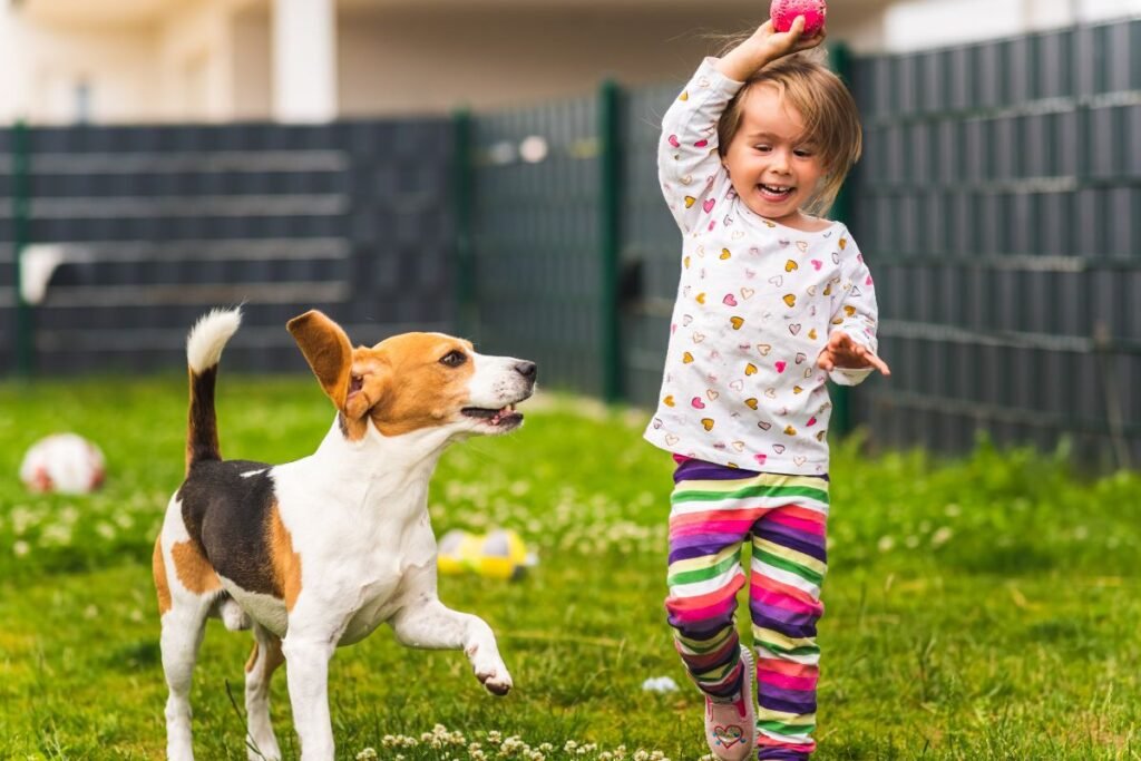 Biglio charakteris ir elgsena