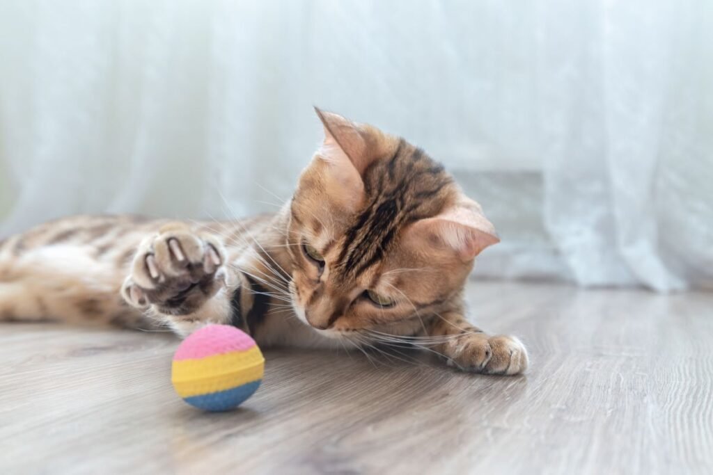 Brandos laikotarpis – energijos valdymas ir profilaktika